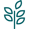PLANT_Tavola disegno 1